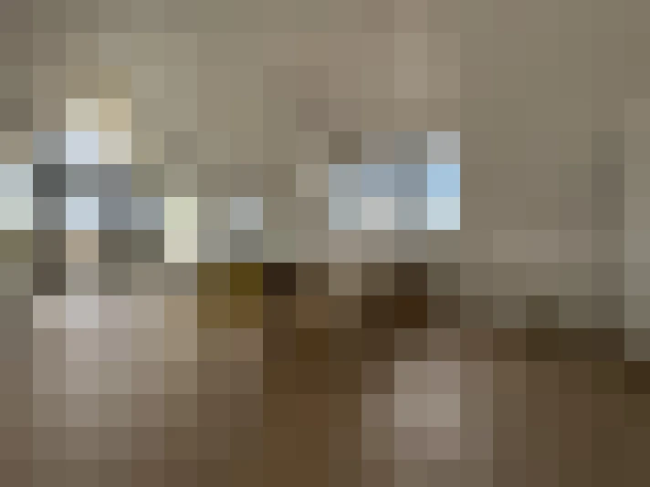  / #16