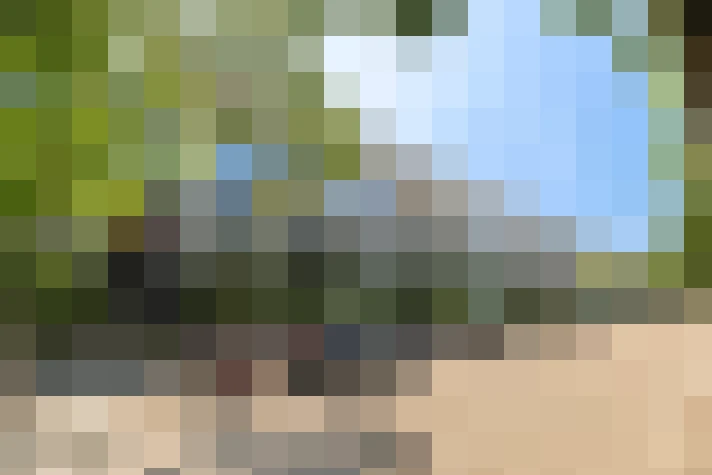  / #18