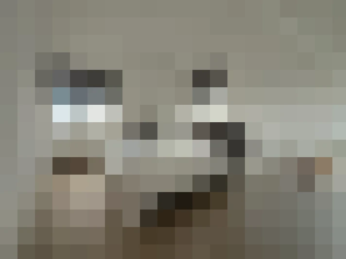  / #22