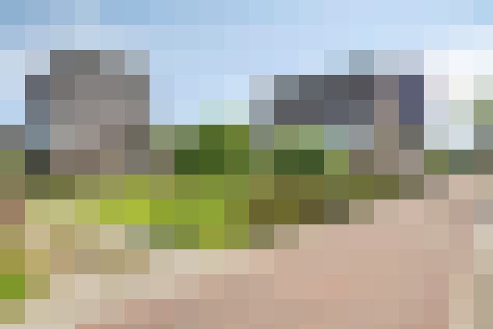  / #74
