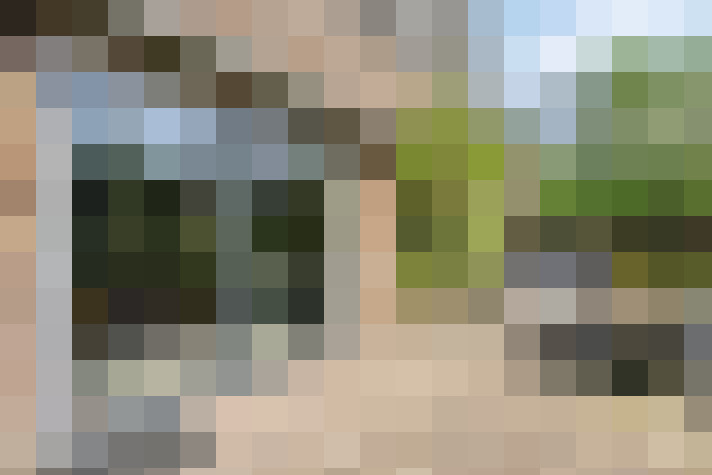  / #66