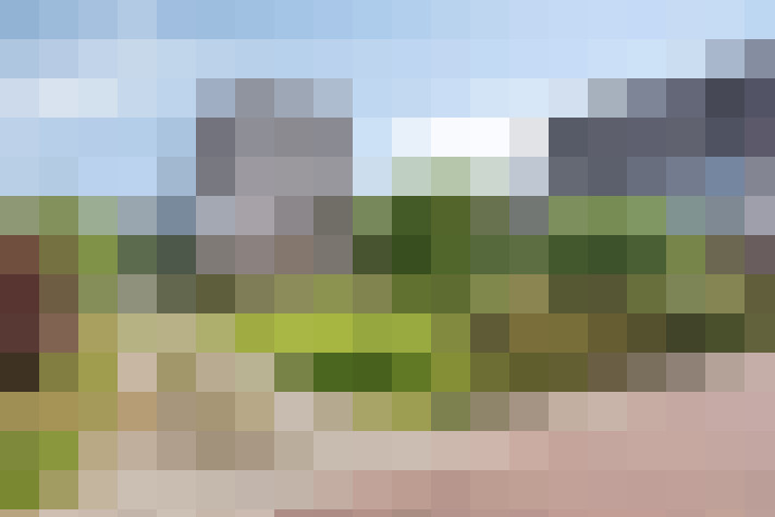  / #71