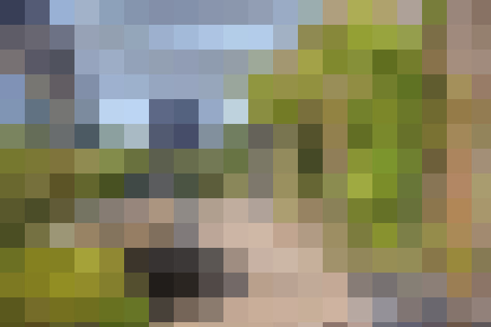  / #67