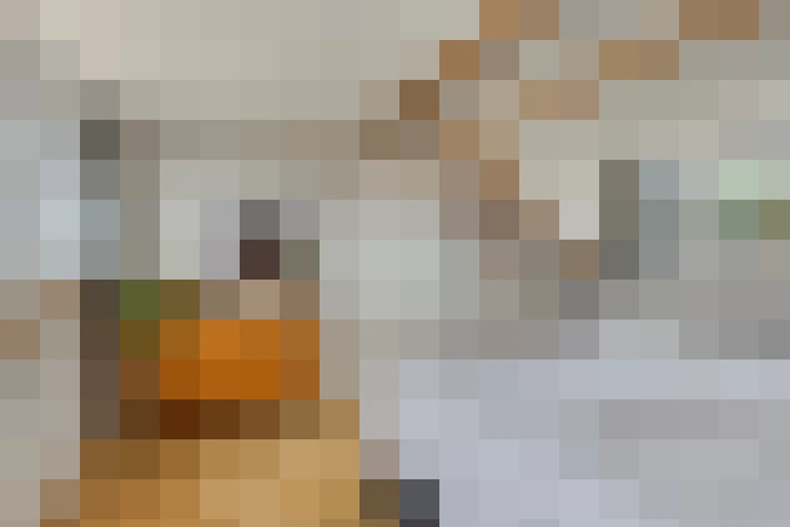  / #16