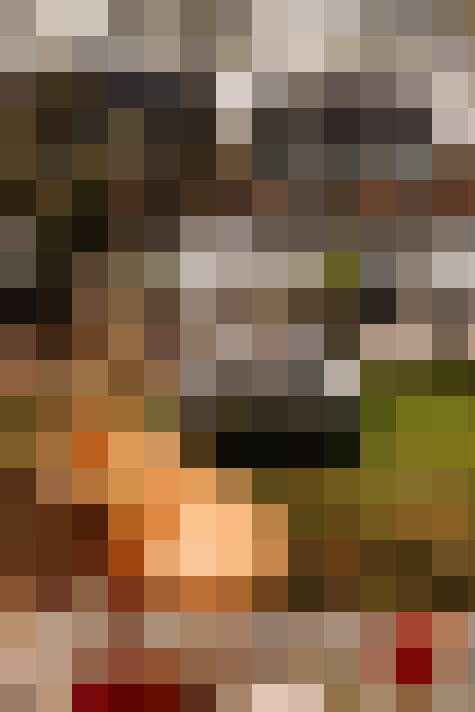  / #51