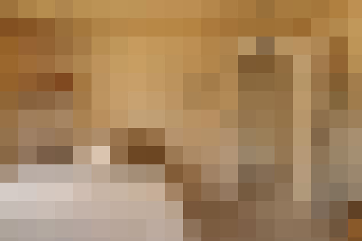  / #31
