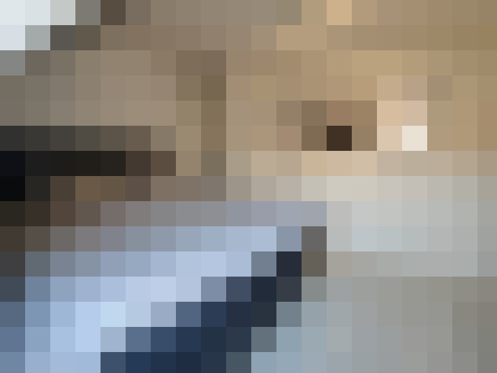  / #21