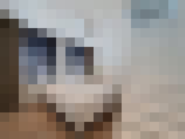  / #8