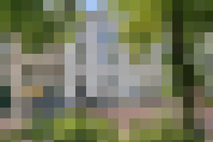  / #6