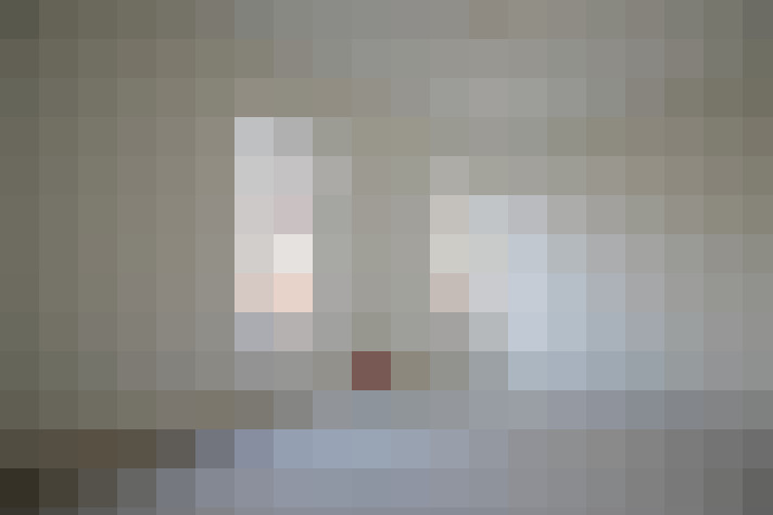  / #23