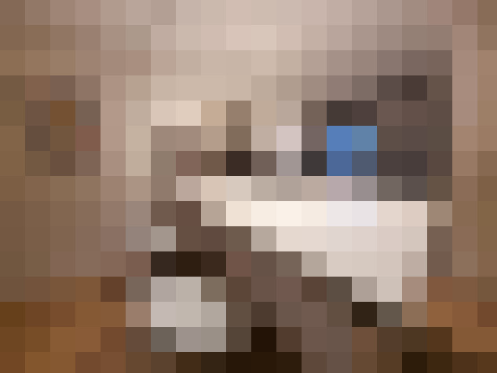  / #16
