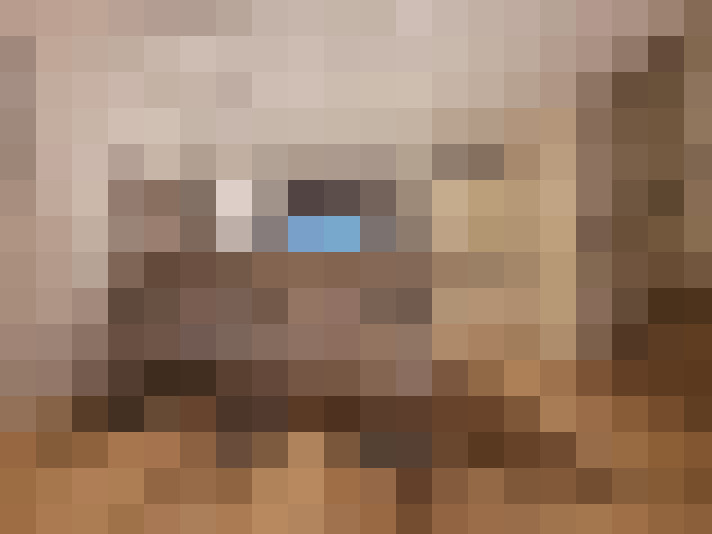  / #15