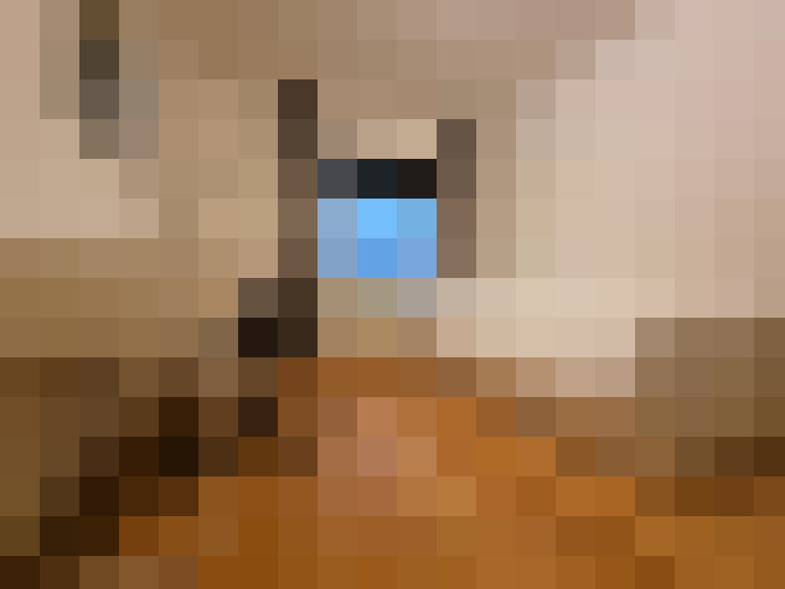  / #28