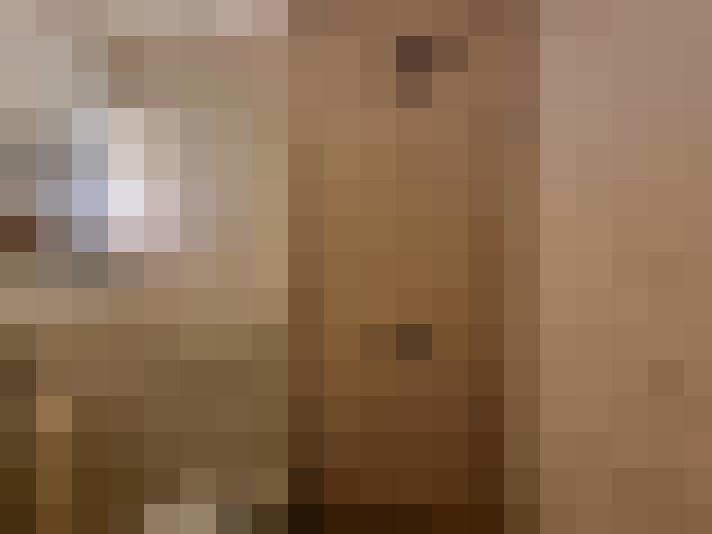  / #31