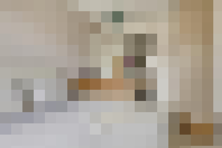  / #19