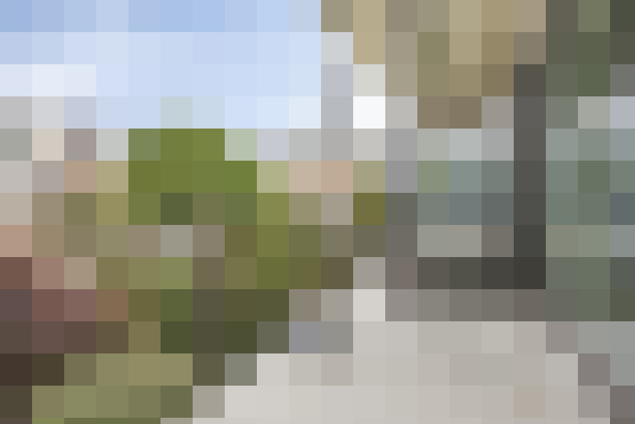  / #16