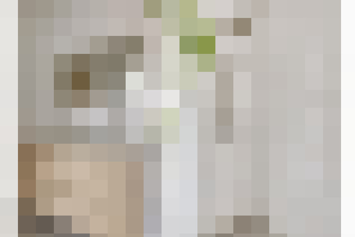  / #21