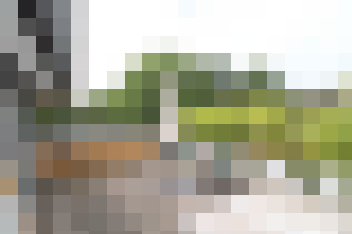  / #58