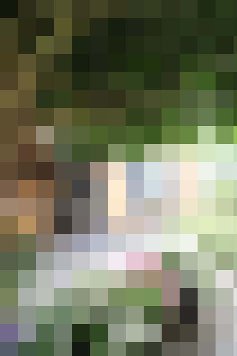  / #60
