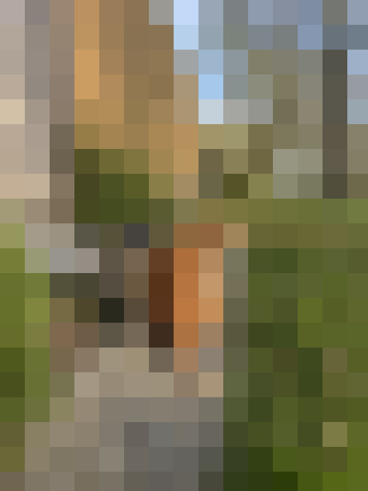  / #8