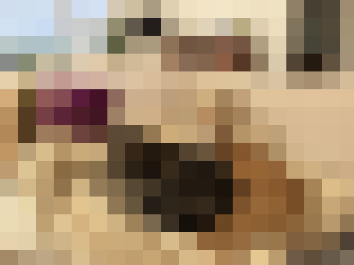  / #16