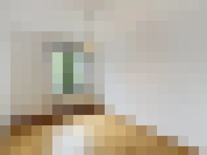  / #8