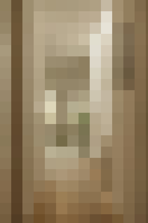  / #6