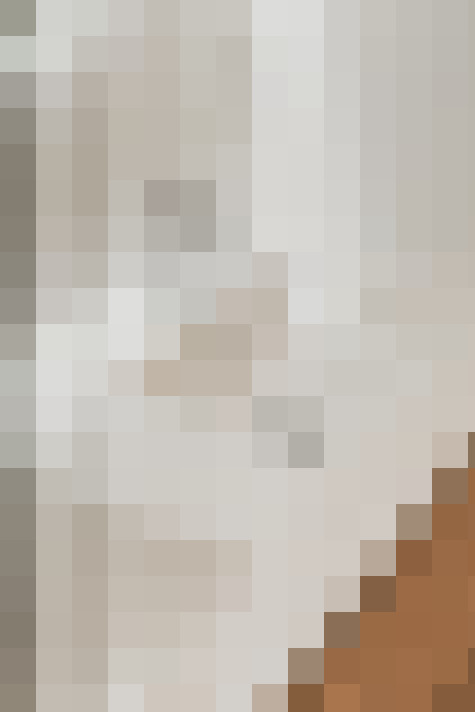 / #17