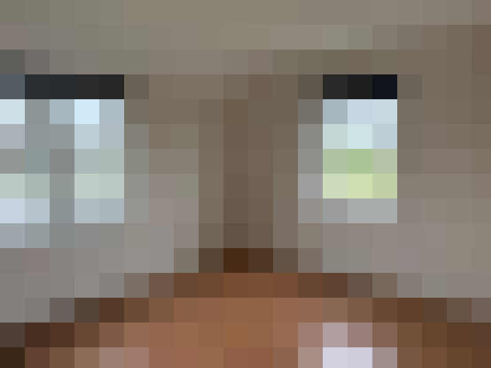  / #6
