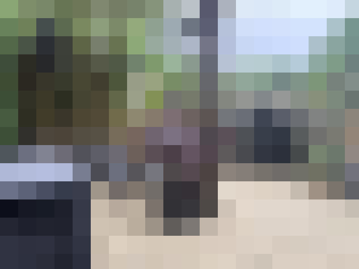  / #16