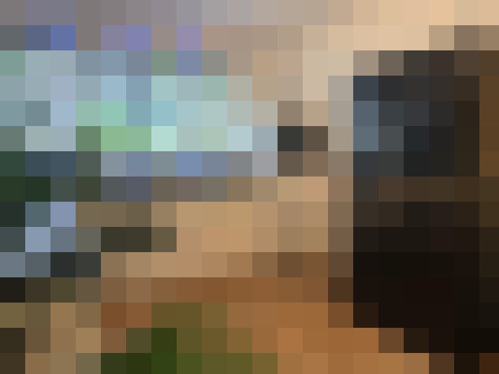  / #13