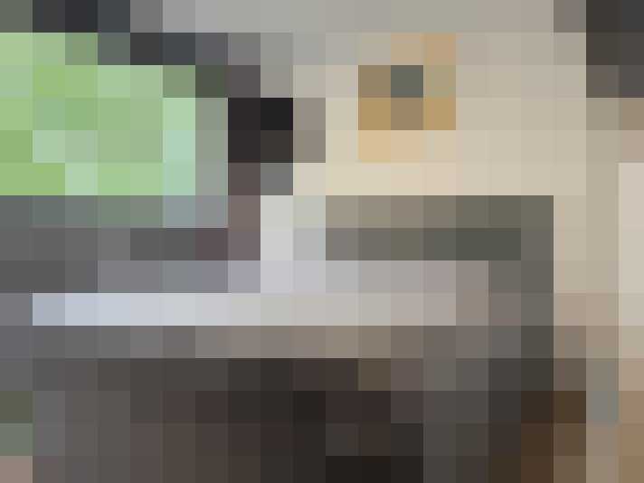  / #25