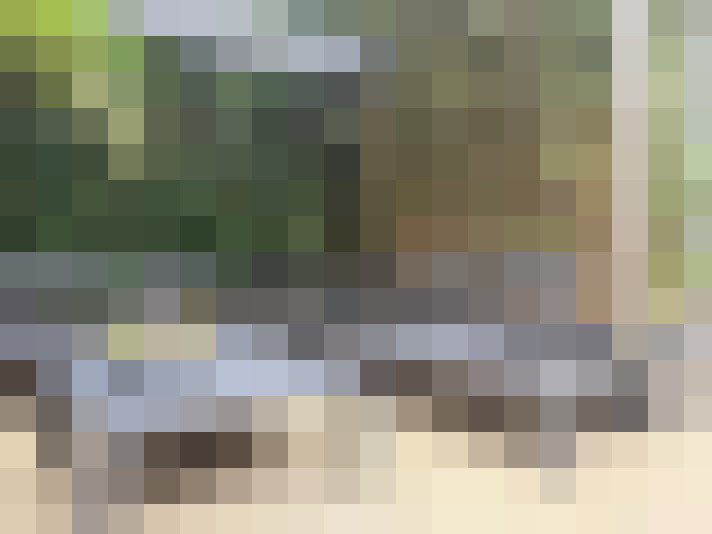 / #17