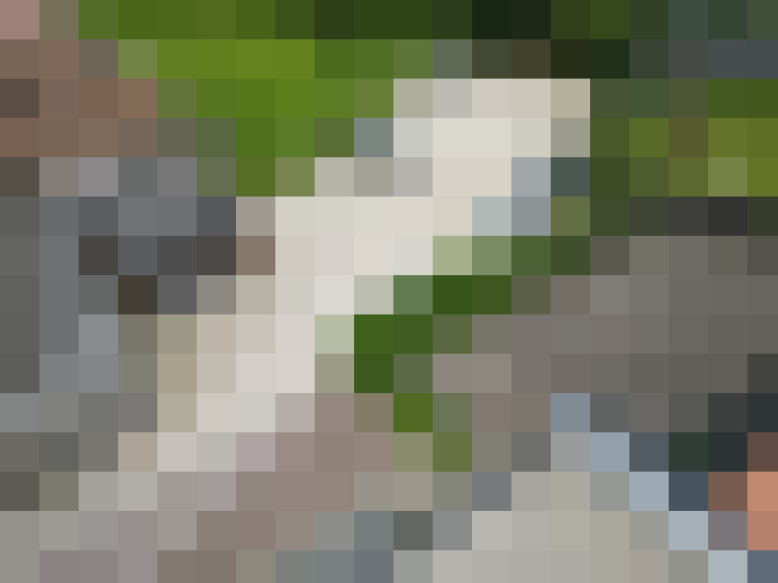  / #15