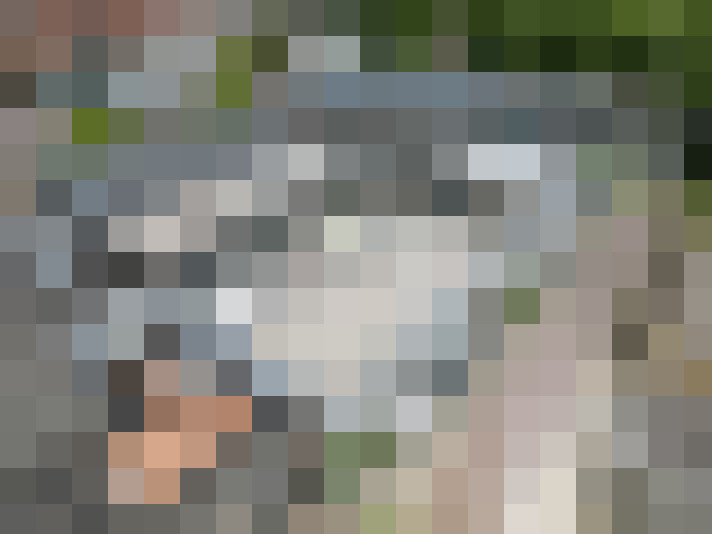  / #14