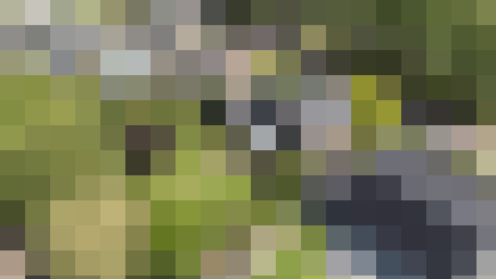  / #54