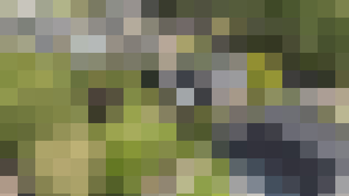 / #53