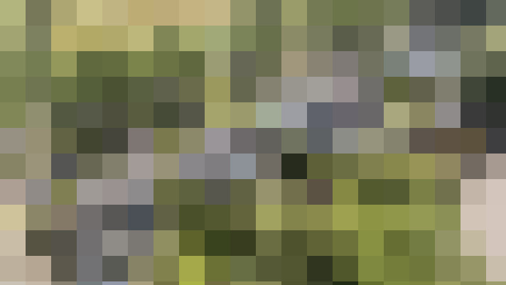  / #52