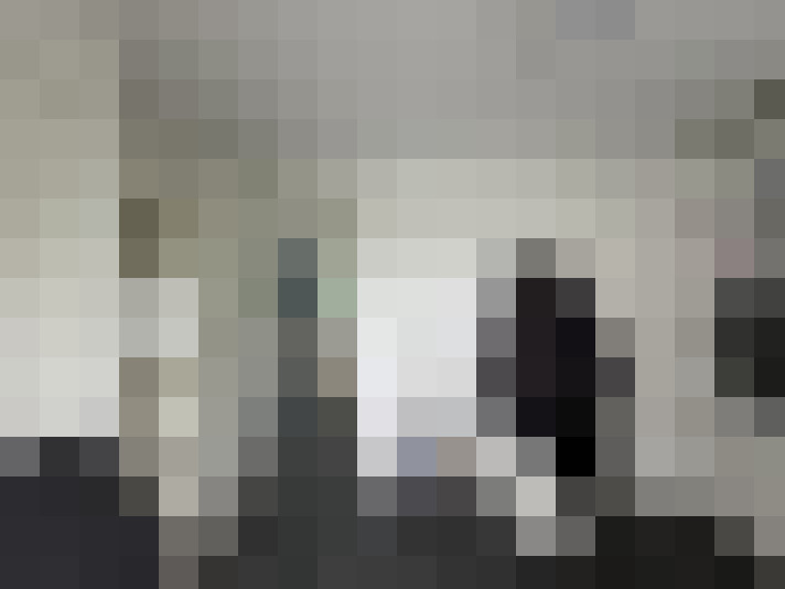  / #15