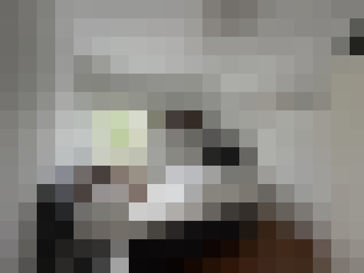  / #19