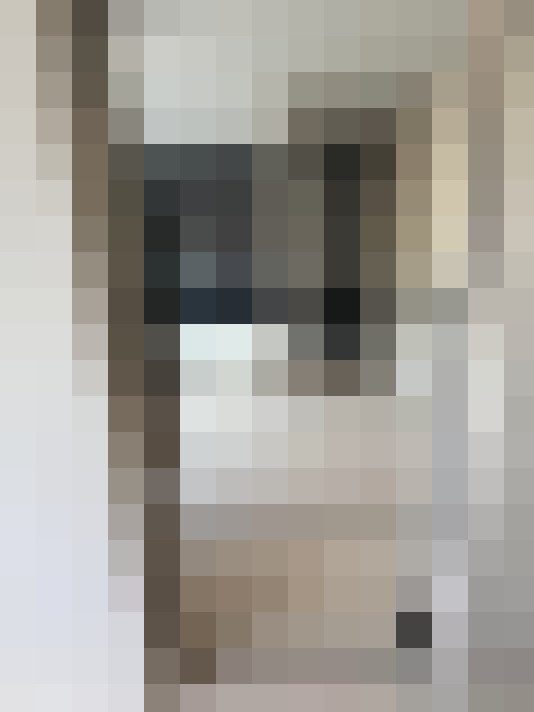  / #33