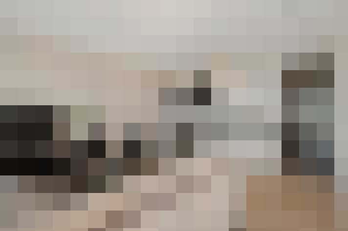  / #15