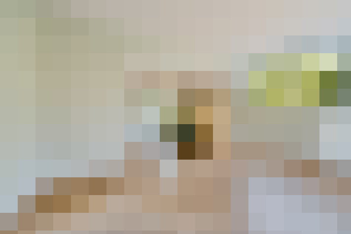  / #19