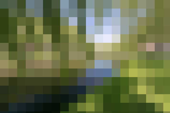  / #54