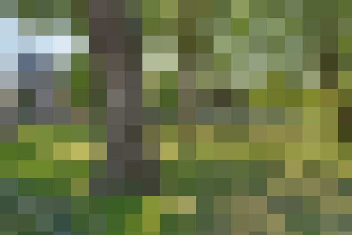  / #53