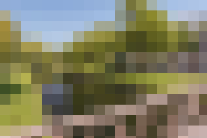 / #52
