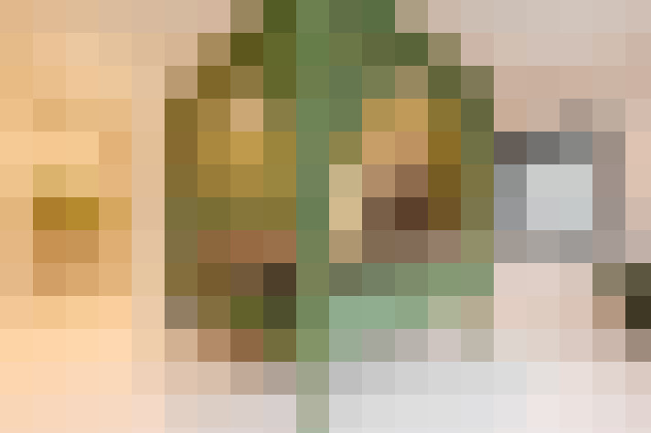  / #17