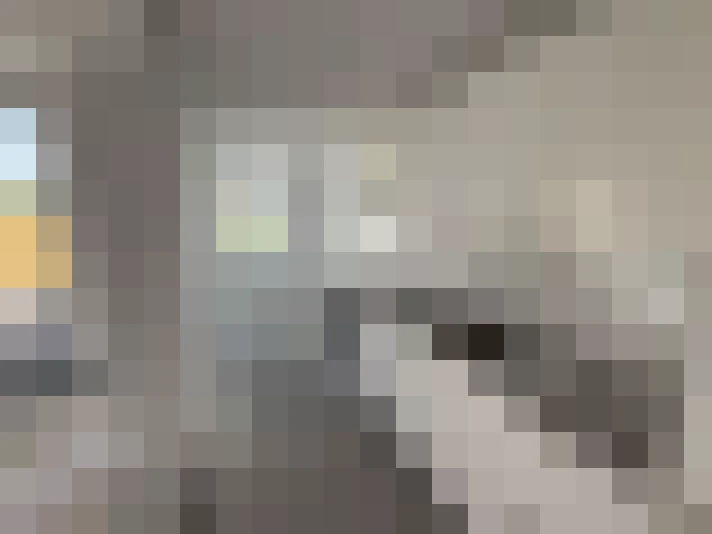  / #21