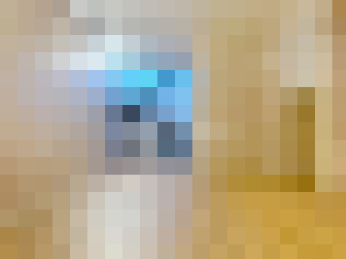  / #23
