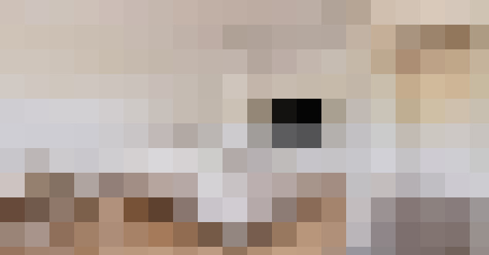  / #15